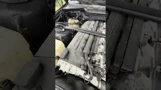 Miniature : Bruit suspect démarrage à froid sur BMW e36 m3 S50B32. 😨🥵🙏