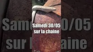 Miniature : 48h pour sauver cette rare 2cv de 1954 avant destruction