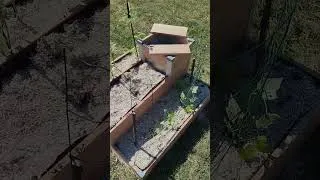 Miniature : #kokopelli #potager #survie @Wake-Up-TV