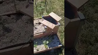 Miniature : Carré potager semences Kokopelli.