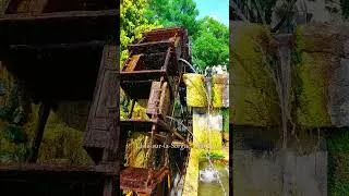 Miniature : L'Isle-sur-la-Sorgue, France #france #travel #provencelife