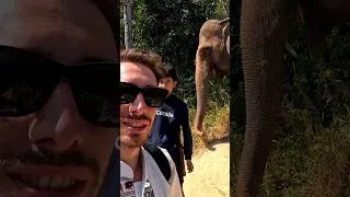 Miniature : la plus grosse dinguerie de notre voyage en Thaïlande 🤠