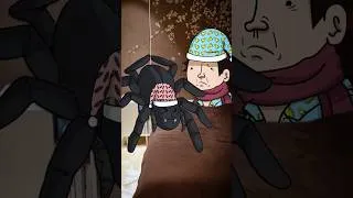 Miniature : Laink a une nouvelle Coloc 🕷️