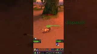 Miniature : Strangleronce PvP : le chasseur et le war fury tombent sur le mauvais chat 🐆 | #wardenowl13 sur #Tw