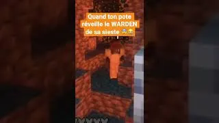 Miniature : Quand ton pote réveille le warden de sa sieste😨😭