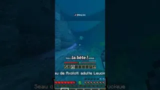 Miniature : Le succès le plus MIGNON (et relou) de Minecraft !🌸 #minecraft #minecraftfr #gaming #gamingfr