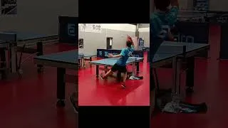 Miniature : SMOOTHEST Around the Net of the YEAR ?!? 🔥🏓 #insane #tabletennis