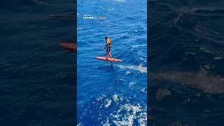 Miniature : 💥Foiling offshore with friends captured by HoverAir Aqua  ! #foiling #incredible #amazing #foil