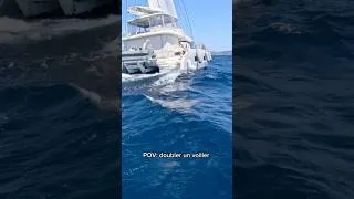 Miniature : Pov: doubler un voilier en tapis volant #foil #sailing #foiling #watersports