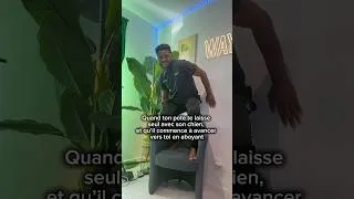 Miniature : Qui a peur des chiens ici🤣