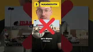 Miniature : (PART 2) T'es un ancien si tu te souviens de ces enseignes disparues