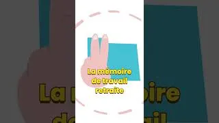 Miniature : Pourquoi votre mémoire est mauvaise (et comment l'améliorer)