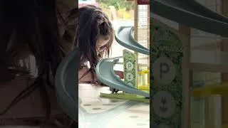 Miniature : Le garage qui fait rouler l'imagination…  🚗