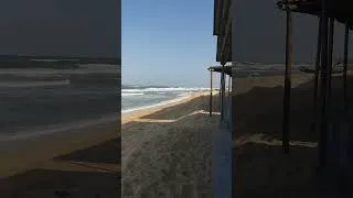 Miniature : VIETNAM: Up for a swim?