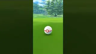 Miniature : HEATRAN SHINY