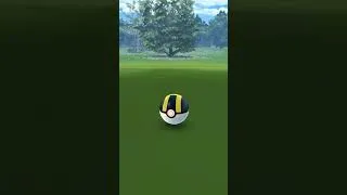 Miniature : SNOVER SHINY