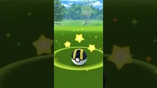 Miniature : SHINX SHINY