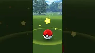 Miniature : OSHAWOTT SHINY