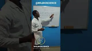 Miniature : 📘🧮 𝗦𝗼𝗹𝘂𝘁𝗶𝗼𝗻 – 𝗦𝘂𝗶𝘁𝗲 𝗚𝗲́𝗼𝗺𝗲́𝘁𝗿𝗶𝗾𝘂𝗲 #WilBioScience #MathsFaciles #Suites #Réussite #ExerciceDuJour 📚🚀