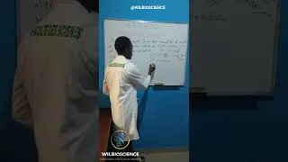 Miniature : 🚀 𝗪𝗜𝗟𝗕𝗜𝗢𝗦𝗖𝗜𝗘𝗡𝗖𝗘 | SUITE #Wilbioscience #Maths #Réussite #Science #Éducation