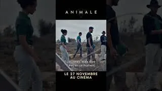 Miniature : ANIMALE - Spot date