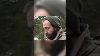 Miniature : Retour sur ma deuxième rencontre avec des loups 🐺