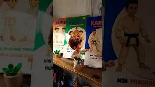 Miniature : KARATÉ Je deviens un vrai karatéka livre karate shotokan Jeunesse Kata programme #karate #books