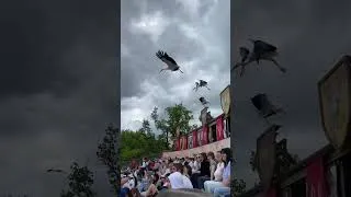 Miniature : Puy du fou 😜