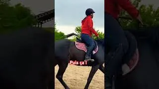 Miniature : Début session départ au galop pour mon trotteur. #cheval #horse #equitation