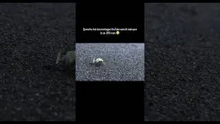 Miniature : Un petit coup de pouce ? #woaftrip #video #viral #abonnetoi #montage