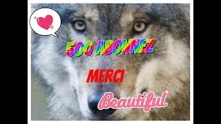 Miniature : Merci pour les 500 abonnez rejoignez le discord