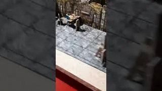Miniature : Maladum.Quand tu as la flemme de tourner autour de la table...