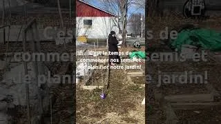 Miniature : #jardin #semis #autonomiealimentaire