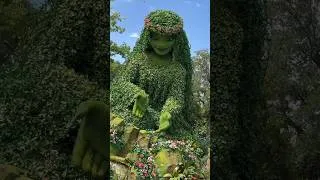 Miniature : Une attraction Vaiana à Disney World