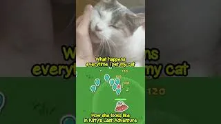 Miniature : Mon chat est dans mon jeu !