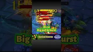 Miniature : M+16 Flèche · Big pull & burst ⚔️ | WoW Midnight