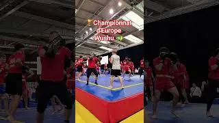 Miniature : championnat d'Europe 🏆 Wushu 🐲