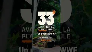 Miniature : LE NOUVEAU PODCAST WWF PRÉSENTÉ PAR JULIA LAYANI