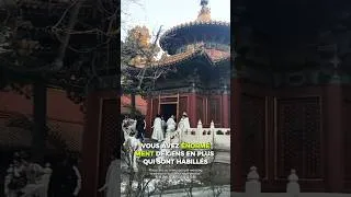 Miniature : La Cité interdite de Pékin 🏯 Le foyer de l'Empereur 🇨🇳 #voyage #chine #xaesque