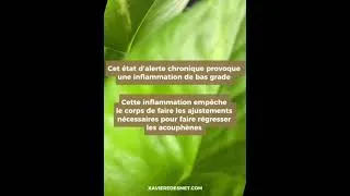 Miniature : L'impact du stress sur les acouphènes #acouphènes