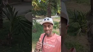 Miniature : #ballade au #jardinbotanique de #metz 🥰🌿 #vacances #tourisme #vlog #serre #vegetation #arbre