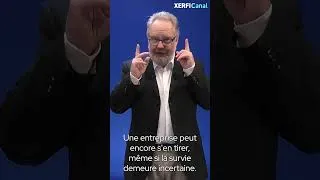 Miniature : Les gros mots de l'économie : la défaillance
