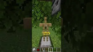 Miniature : best trap on the friend smp