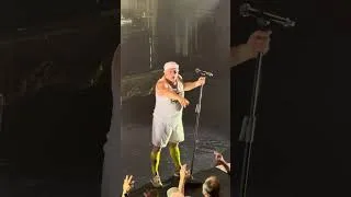 Miniature : Elmer Food Beat live in Paris (La Cigale) - Re-Tour 40 years - March 27 2026 - Couroucoucou roploplo