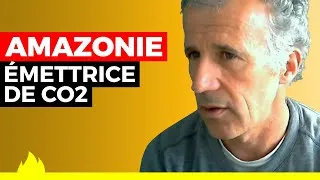 Miniature : L'Amazonie devient une source nette plutôt qu'un puits de CO2 - Jean-Pierre Wigneron