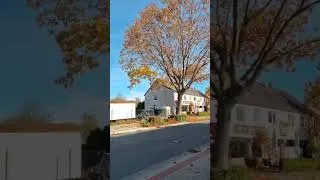 Miniature : #fypシ゚viral #اكسبلور #nature #viralreels #viralshort #fypシ゚ #explore