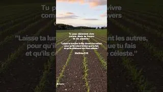 Miniature : Que ta lumière brille ✨