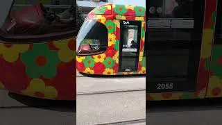 Miniature : TAM, LA LIGNE T2 DU TRAMWAY MONTPELLIER, À REPRIS SON TRAJET, DEPUIS LUNDI 3 AOÛT #info