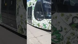 Miniature : TAM, TRAVAUX, EXPLICATION, PARCOURS DU TRAJET, LIGNE T5, À LA STATION, GAMBETTA, MONTPELLIER #tram