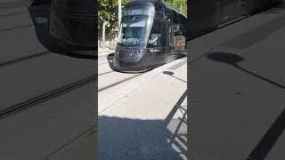 Miniature : TAM, TRAVAUX EXPLICATION PARCOURS DU TRAMWAY LIGNE T1, MONTPELLIER ÉPISODE 2 #tram